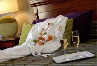 Hotel Austral Plaza 4*